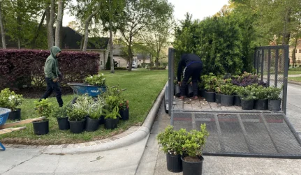 Backyard Makeover