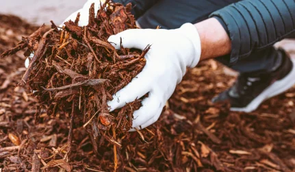 Mulch Delivery